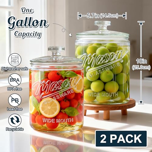 2 Pack 1 Gallon Glass Cookie Jar with Lid, Glass Canisters for Pantry Organizers & Storage, Wide Mouth Mason Jar for Flour Sugar, Sourdough Starter, Coffee, Dog Treat, Apothecary, Laundry Room