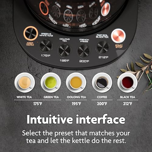 Viante Alba Electric Tea Kettle With Infuser, No Plastic, 1.5L, Black | Borosilicate glass & 304 stainless steel construction. 4 temp presets, keep-warm, cordless, auto shut-off - style: Black