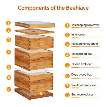 VINGLI 10-Frame Bee Hive, Wax Coated Beehive Starter Kit with Frames & Beeswax Coated Foundation Sheets (3 Layer) - style: 3 Layer