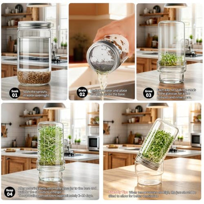 Sprouting Jar Kit, 2 Pack Wide Mouth Quart Mason Jars | Broccoli, Microgreens, Alfalfa Sprout Jar | Perfect for Home Gardeners, Health Enthusiasts & Vegan Diets - color: 2Pack-Without Sleeve