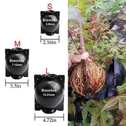 Tree Root Growing Box, Reusable Transparent Plants Asexual Reproduction Grafting Ball, High Pressure Air Layering Pods Propagation Kit (10pcs Meidum) - color: Black-m-10pack