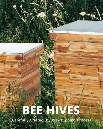 10 Frame Langstroth Bee Hive Kit, 2 Deep & 1 Medium Box | 10-Frame Langstroth Hive with 2 Deep Brood Boxes, 1 Medium Honey Super, 30 Pine Frames and an Observation Window - size: 2Deep+1Madium Bee Box