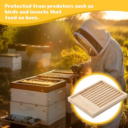 Leinuosen 2 Pack 10 Frame Slatted Rack for Beekeepers, Beehive Slatted Rack Assembled, Wood Hive Equipment, Durable Beekeeping Supplies for Beekeeping Tool (19.9 x 16.3 x 1.97 Inch)
