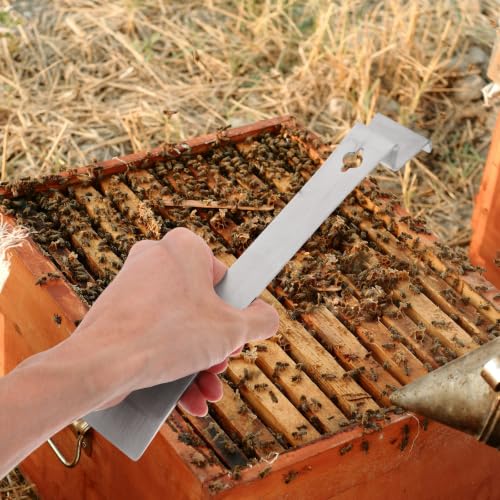 Stainless Steel Beekeeping Hive Scraper Tool with Curved Head for Scraping Beeswax and Propolis, Sturdy Handheld Hive Tool for Beekeepers in Beekeeping Supplies