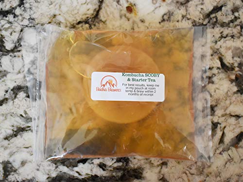 Bucha Brewers Kombucha SCOBY & Starter Tea - 8 Ounces Strong Starter Tea & Live kombucha SCOBY grown on ORGANIC sugar and black tea blend