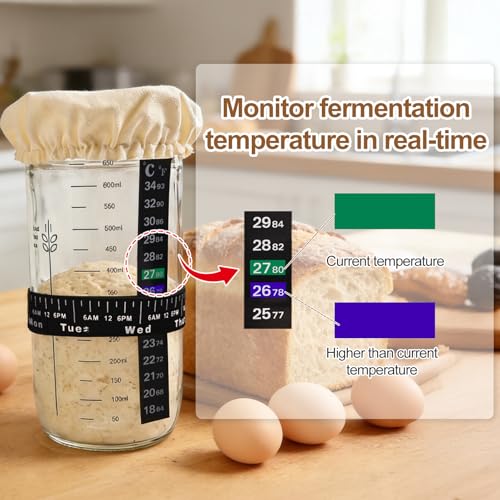 24 oz Wide Mouth Sourdough Starter Jar Kit, Glass Fermentation Container with Date Marker, Thermometer, Silicone Scraper & Lids, Airtight Glass Storage Canister for Homemade Bread Baking, Complete Sourdough Baking Supplies