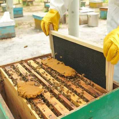 30 Pack Honey Bee Frames, Beehive Waxed Coated Foundation Sheet, Plastic Beehive Foundation Sheets for Beekeeping