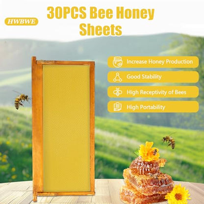 30PCS Pack Beehive Frames and Wax Foundations for Deep Brood Bee Hives 100% Beeswax Coated Foundations Yellow
