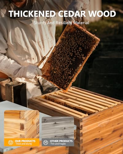 Bee Hive 10 Frame Bee Box Starter Kit, Beeswax Coated Bee Hives for Beekeepers, 2 Deep + 1 Medium Langstroth Beehive Kit, Beekeeping Supplies with Transparent Plastic Window and Queen Excluder