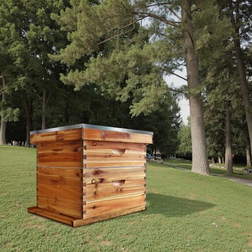10 Frame Deep Brood Box, Langstroth Beehive Box Dipped in 100% Beeswax, Bee Hive Deep Box with Frames and Wax Foundations for Beekeeping Supplement - style: without Window