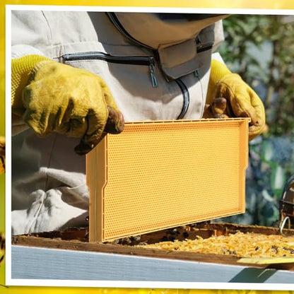 DoubleFill 10 Pack Plastic Beehive Frames and Wax Foundations All in One Bee Hive Frames with Beeswax Coated Foundations Bee Frames Beekeeping Frames for Deep Brood Bee Hives 9 1/8 Inches(Yellow) - color: Yellow