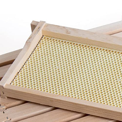 Lehman's Stoney Acres Beekeeping Beehive Box, 8 Frame Medium Assembled Super or Brood Honeybee Hive Box with Plastic Foundation Frames, Amish Made