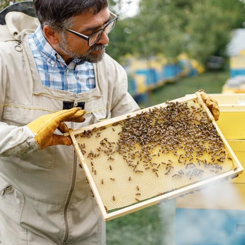 Colingmill 20 Packs Bee Hive Frames Deep Unassembled Bee Frames with Nails Pine Wooden Beekeeping Beehive Frame Pre Drilled Holes for Beekeeping Supplies