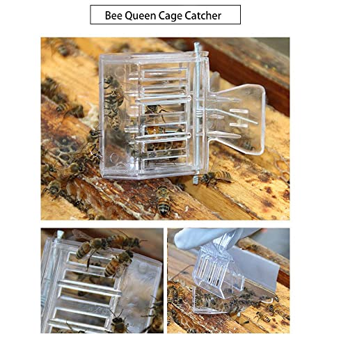 12 Pack Bee Queen Cage Catcher Clips Transparent Plastic Bee Queen Clips Beekeeping kit (12 Pack)