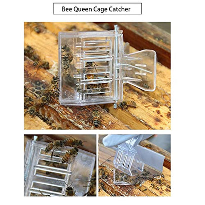 12 Pack Bee Queen Cage Catcher Clips Transparent Plastic Bee Queen Clips Beekeeping kit (12 Pack)