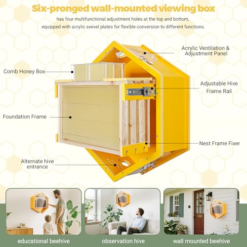 Observation Beehive Starter Kit with 3 Frames & 6 Honeycomb Trays, Wall-Mounted Hexagon Bee Hive with Acrylic Viewing Window, Medium Size for Indoor, Garden, or Educational Beekeeping