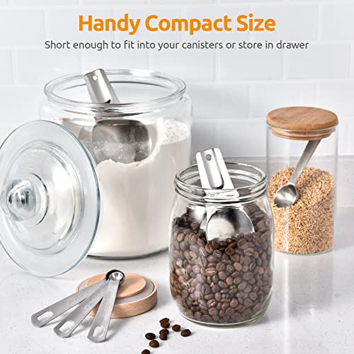 U-Taste Measuring Cups and Spoons Set of 15 : 7 Measuring Cups and 7 Measuring Spoons with 2 D-Rings and 1 Professional Magnetic Measurement Conversion Chart - size: (01) Cup&Spoon Set of 15
