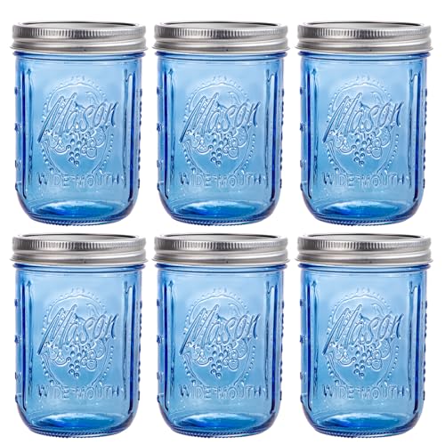 WELLIFE 6-Pack Mason Jars 16 oz with Lids – Blue Wide Mouth Glass Mason Jars, Airtight Leak-Proof Canning Jars for Food Storage, Fermenting, Pickling, Freezing, and Crafts - color: Dark Blue Mason Jars 16oz-6Pcs