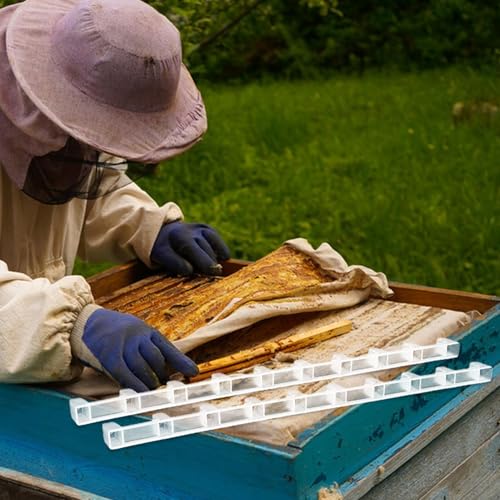 ORFOFE Honeycomb Plastic Spacers for Beehive 10pcs Frame Spacing Strip Bee Hive Frame Spacer Tool Abs