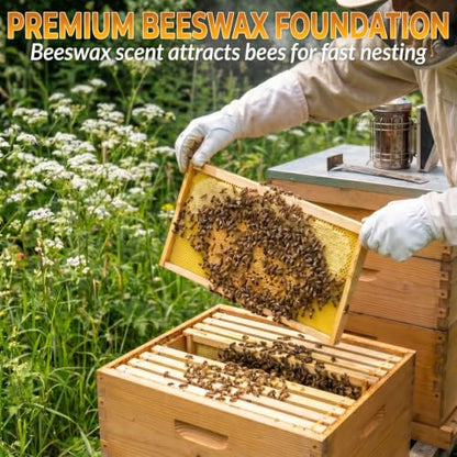 60pcs Natural Beeswax Coated Deep Foundation Sheets, Beeswax Sheets, Beeswax Coated Deep Foundation, Bee Foundation Sheets for Beehive Frames, Beeswax Foundation Sheets for Candle Making