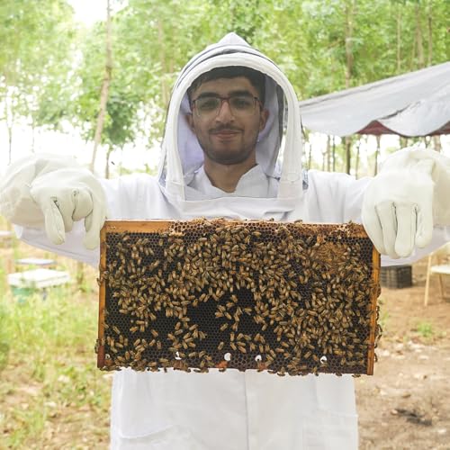 20Pcs Beehive Foundation Sheet Beehive Beeswax Coated Foundation Sheet Bee Hive Wax Foundation 9" Deep Foundation Sheet for Beehive Deep Frame - size: Deep