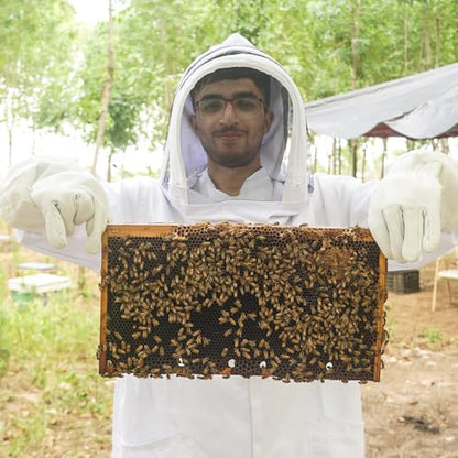 20Pcs Beehive Foundation Sheet Beehive Beeswax Coated Foundation Sheet Bee Hive Wax Foundation 9" Deep Foundation Sheet for Beehive Deep Frame - size: Deep