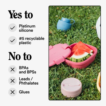 STOJO Collapsible Sandwich Box – 24oz, Reusable Food Storage Container, Silicone Bowl for Hot/Cold Food – Meal Prep, Lunch, Camping, Hiking – Dishwasher Safe (Peony, Set of 1) - color: Peony