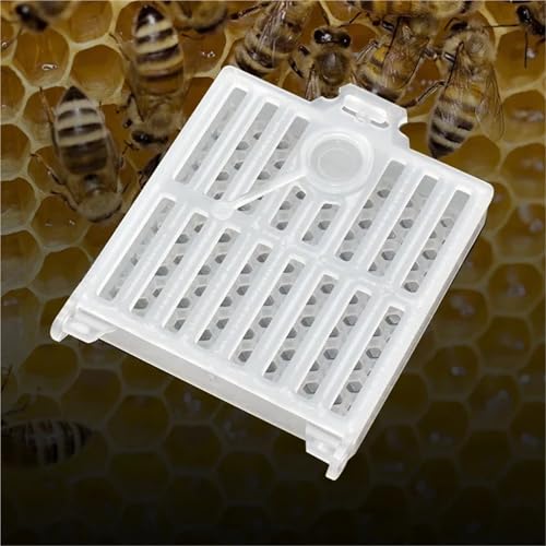 Queen Bee Cage 15pcs Queen Bee Post Cage Transparent Queen Bee Transport Cage Move Transmit Mail Box Catcher Beekeeping Supplies for Beekeeping Supplies