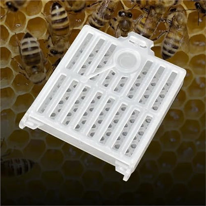 Queen Bee Cage 15pcs Queen Bee Post Cage Transparent Queen Bee Transport Cage Move Transmit Mail Box Catcher Beekeeping Supplies for Beekeeping Supplies
