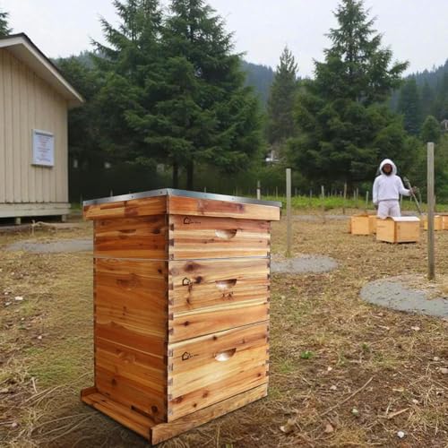 10-Frame Beeswax-Coated Beehive Starter Kit – Complete Langstroth Hive w/2 Deep & 1 Super Box, Cedarwood Construction for Beginner Beekeepers