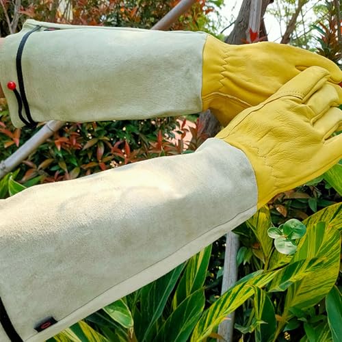 Brrnoo 2pcs Goatskin Leather Thorn Proof Forearm Gloves Thorn Arm Protection Gloves Protective Long Sleeve with Elastic Wrist Strap (S)