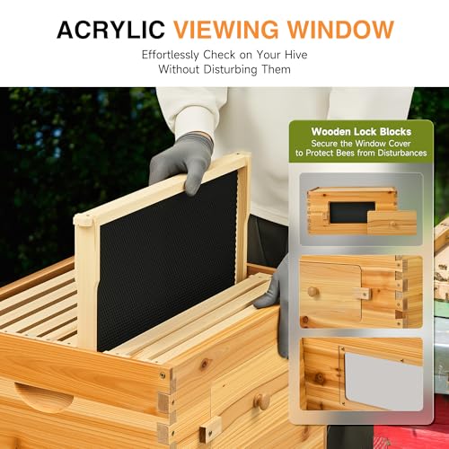 CREWORKS 10 Frame Bee Hive Box, Langstroth Beehive Deep Box with Frames & Foundations, Beeswax Coated Brood Bee Box for Bee Keeper, Beekeeping Supplies with Transparent Acrylic Window - style: 1 Layer