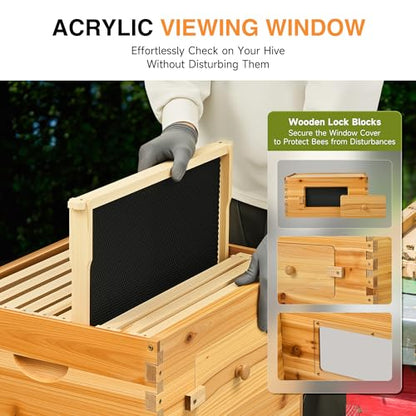 CREWORKS 10 Frame Bee Hive Box, Langstroth Beehive Deep Box with Frames & Foundations, Beeswax Coated Brood Bee Box for Bee Keeper, Beekeeping Supplies with Transparent Acrylic Window - style: 1 Layer