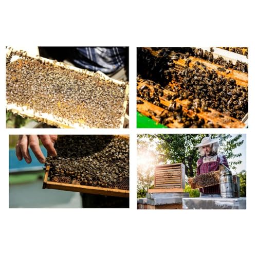 New Queen Bee Cage Beekeeper Plastic Bee Isolator Clip Beekeeper Breeding Tools for Indoor & Outdoor Use