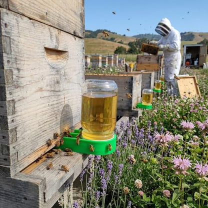 Aukbeefun 4 Pack Bee Entrance Feeder,Green Bee Hive Feeder for Mason Jars | Bee feeders with jar compatibility for syrup or water feeding, helping beekeepers reduce hive opening during routine care - color: Green