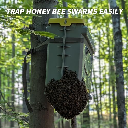 5-Frame Swarm Traps kit Includes 5-Frames Beehive Bee Colony Trap Hive Sliding Frame Design, Universal Compatibility with Langstroth Dadant UK, 48L Hive for Beekeepers | light-weight - color: Grey+yellow