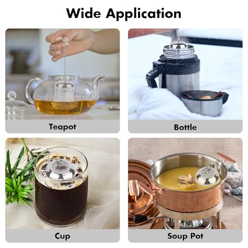 Tea Infuser for Loose Leaf Tea, Extra Fine Mesh Tea Strainers, 304 Stainless Steel & Updated Slim Threaded Lid, Loose Leaf Tea Steeper for Brew Tea, Spices, Rooibos, 2 Pcs, Small, Sliver
