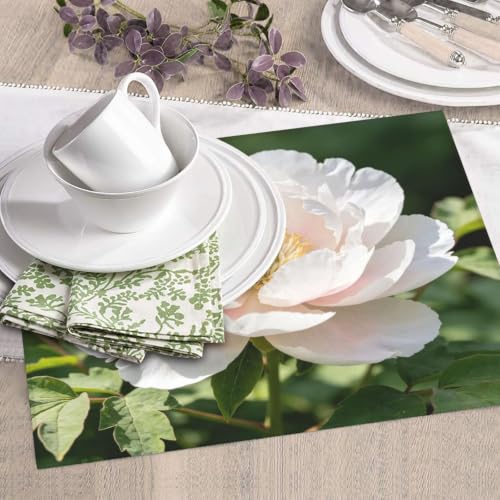 White peony Dish Drying Mat for Kitchen Counter, Absorbent Microfiber Drainer Mats, Non-slip Kitchen Draining Mat for Coffee Machine Dish Rack Pad 18"x16" Dish Drainer Pad - color: White Peony