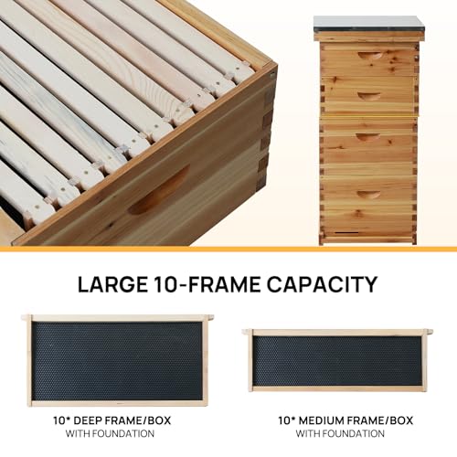 Bee Hive Box, 10 Frame Beeswax Coated Bee Hive Starter Kit for Beginners Beekeepers (1 Medium Box) - size: 1 Medium Box