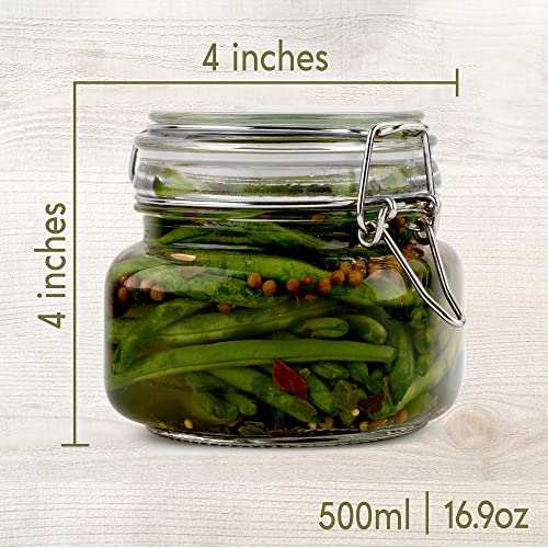 Glass Jars with Airtight Lids Food Storage Jars Leak Proof Canisters with Clear Preserving Seal Wire Clip Fastening for Kitchen Canning Pickling [16 oz]