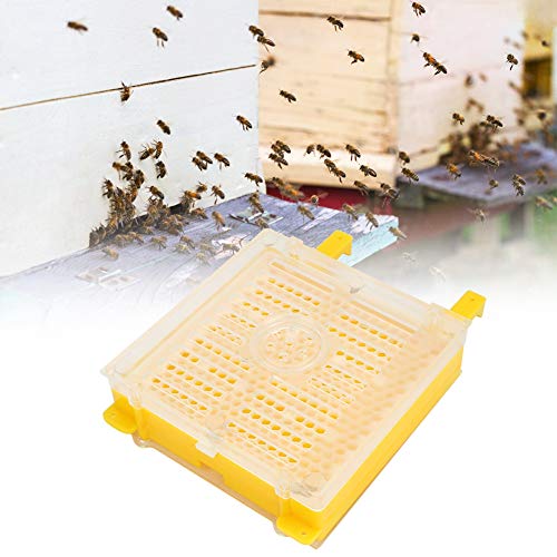 Queen Rearing Kit, Sturdy, Durable, Non, Lightweight Plastic Beekeeping Tools Set with 50 Pieces Bee Cage and 300 Pieces Bee Cup for Professional Beekeepers