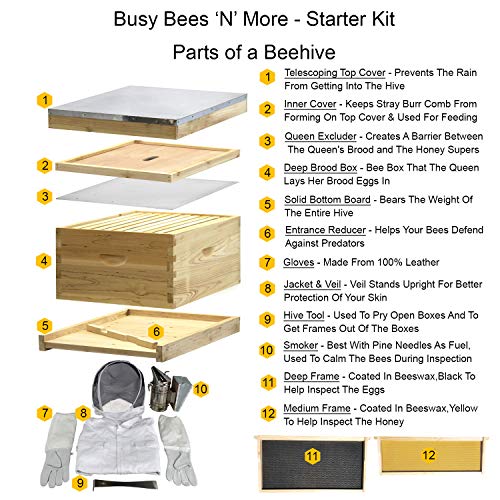 Amish Made in USA Complete Langstroth Beehive - The Starter Kit (Full Hive with 1 Deep & Accessories)