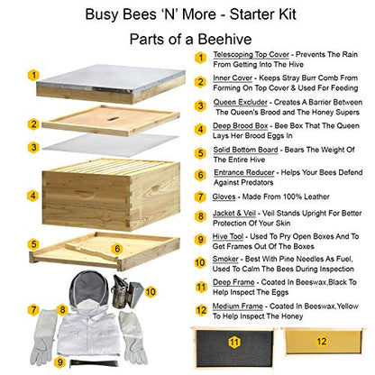 Amish Made in USA Complete Langstroth Beehive - The Starter Kit (Full Hive with 1 Deep & Accessories)