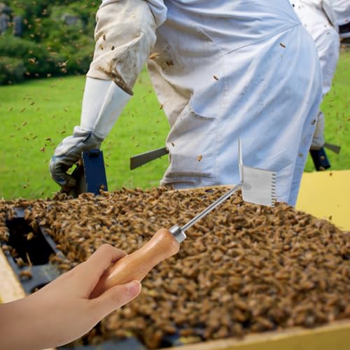 Stainless Steel Beehive Cleaning Shovel for Beekeeping with Wooden Handle, Hive Scraper Tool for Scraping Off Excess Wax and Lifting up Frames, Suitable for Beehive Frame and Boxes