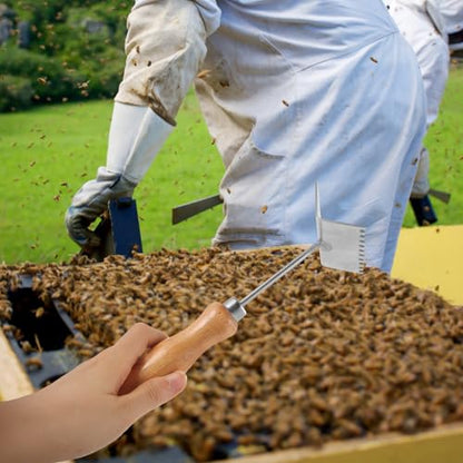 SECFOU Professional Beehive Scraper Tool with Stainless Steel Blade and Wooden Handle for Lifting Frames and Scraping Excess Wax, Sturdy Beekeeping Shovel for Beekeepers and Beekeeping