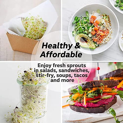 Seed Sprouting Jar Kit - 2 Wide Mouth Mason Jars with 316 Stainless Steel Sprouting Lids Covers, Drip Tray and Stand for Growing Broccoli Alfalfa Beans Sprout (Two Jars)