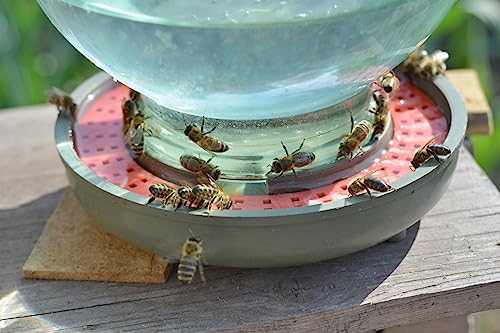 ZAVHOZ Bees Feeding Bowl Bee Feeder Hive Water Drinker Sugar Syrup Drinking Dispenser Tool Plastic Mesh Dish Beehive Apiary Accessory Beekeeping Honey Production (Blue) - color: Blue