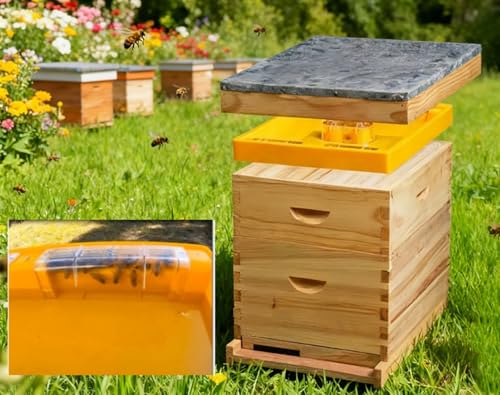 Beehive Top Feeder with 6-Way Water Access Extra Full Spare Parts - 1.2 Gallon Water Top Feeder for Langstroth 10 Frame Beehive