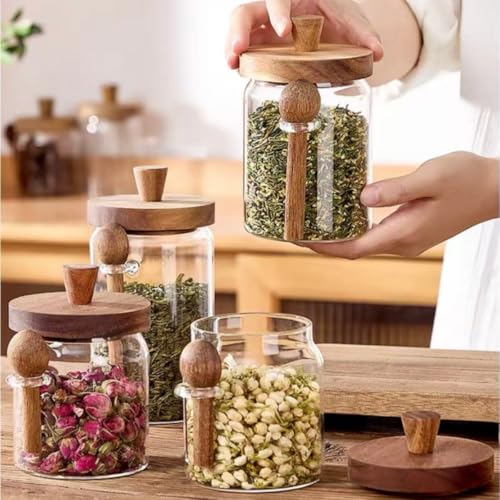 ANSQU Glass Jar with Spoon, 13.5oz Coffee Jar Coffee Grounds Container | Coffee Canister holds up to 5oz Coffee Beans, Coffee Container with Wooden Lid, Cute Jar - size: 13.5oz-1pack (φ3.54")