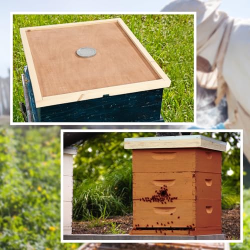 Colingmill 1pcs Mental Telescoping Hive Cover and 1pcs Beehive Inner Cover with 1pcs Feeding Jar Lids for 10 Frame Bee Hive, Beehive Part for Beekeeping Tool
